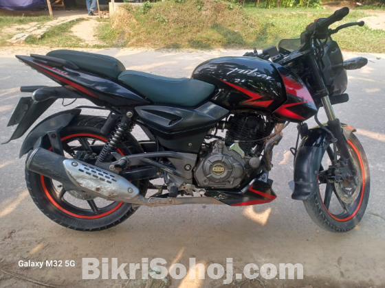 Pulser DD, Model 2021.